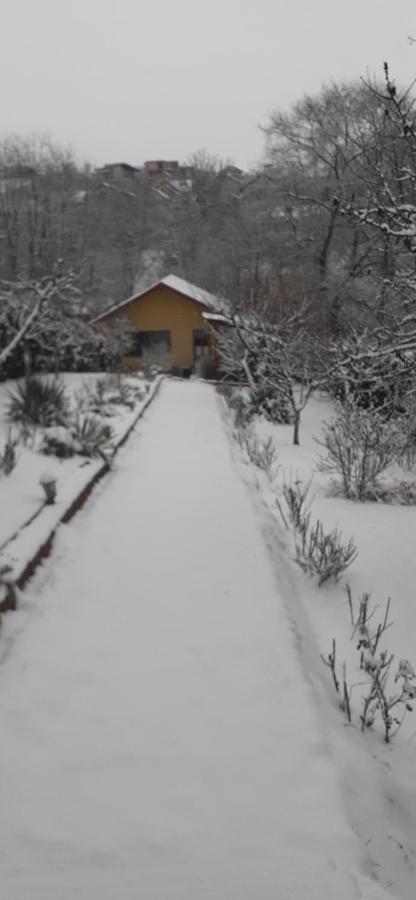 Pensiunea Lucia Ana Cluj-Napoca Exterior photo
